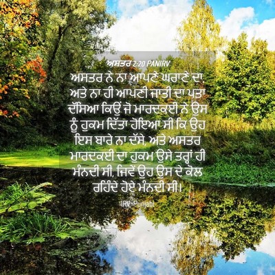 Picture 04 - ਅਸਤਰ 2:20 PANIRV - ਅਸਤਰ ਨੇ ਨਾ ਆਪਣੇ - Bible Verse Picture