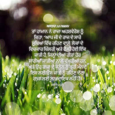 Picture 04 - ਅਸਤਰ 3:8 PANIRV - ਤਾਂ ਹਾਮਾਨ ਨੇ ਰਾਜਾ - Bible Verse Picture