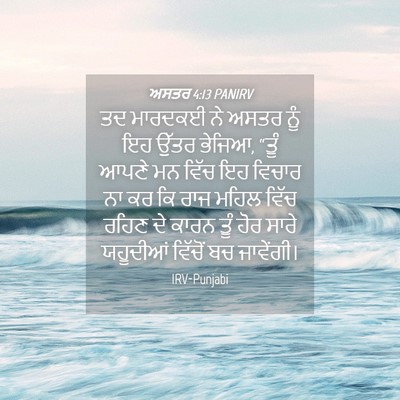 Picture 04 - ਅਸਤਰ 4:13 PANIRV - ਤਦ ਮਾਰਦਕਈ ਨੇ ਅਸਤਰ - Bible Verse Picture
