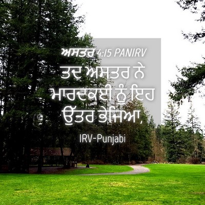 Picture 04 - ਅਸਤਰ 4:15 PANIRV - ਤਦ ਅਸਤਰ ਨੇ ਮਾਰਦਕਈ - Bible Verse Picture