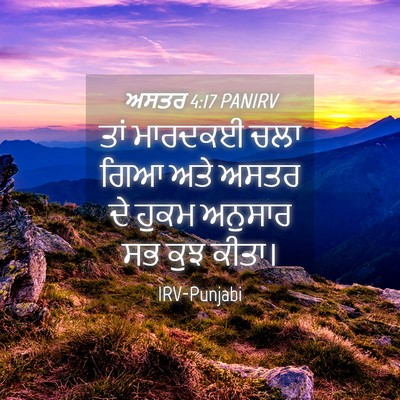 Picture 04 - ਅਸਤਰ 4:17 PANIRV - ਤਾਂ ਮਾਰਦਕਈ ਚਲਾ ਗਿਆ - Bible Verse Picture