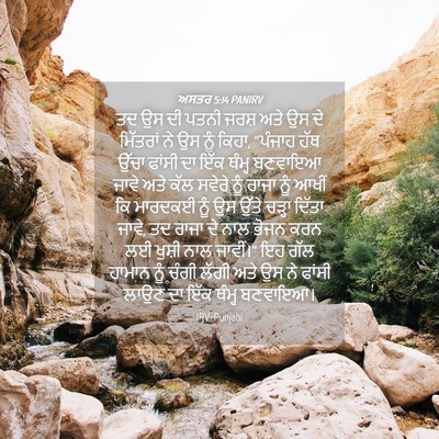 Picture 04 - ਅਸਤਰ 5:14 PANIRV - ਤਦ ਉਸ ਦੀ ਪਤਨੀ ਜਰਸ਼ - Bible Verse Picture