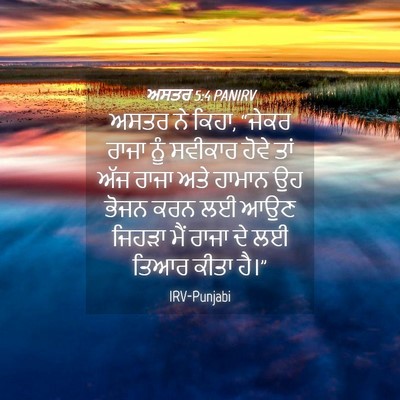 Picture 04 - ਅਸਤਰ 5:4 PANIRV - ਅਸਤਰ ਨੇ ਕਿਹਾ, “ਜੇਕਰ - Bible Verse Picture