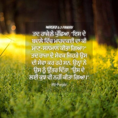 Picture 04 - ਅਸਤਰ 6:3 PANIRV - ਤਦ ਰਾਜੇ ਨੇ ਪੁੱਛਿਆ, - Bible Verse Picture