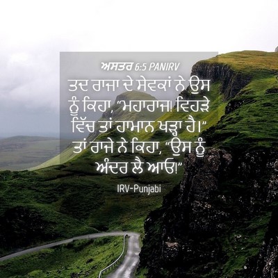 Picture 04 - ਅਸਤਰ 6:5 PANIRV - ਤਦ ਰਾਜਾ ਦੇ ਸੇਵਕਾਂ - Bible Verse Picture