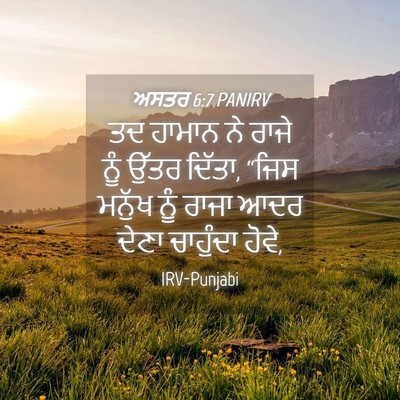 Picture 04 - ਅਸਤਰ 6:7 PANIRV - ਤਦ ਹਾਮਾਨ ਨੇ ਰਾਜੇ - Bible Verse Picture