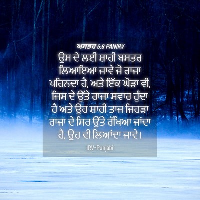 Picture 04 - ਅਸਤਰ 6:8 PANIRV - ਉਸ ਦੇ ਲਈ ਸ਼ਾਹੀ ਬਸਤਰ - Bible Verse Picture