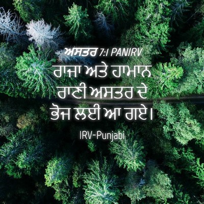 Picture 04 - ਅਸਤਰ 7:1 PANIRV - ਰਾਜਾ ਅਤੇ ਹਾਮਾਨ - Bible Verse Picture