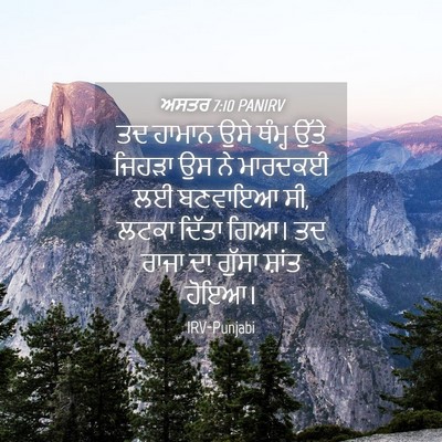 Picture 04 - ਅਸਤਰ 7:10 PANIRV - ਤਦ ਹਾਮਾਨ ਉਸੇ ਥੰਮ੍ਹ - Bible Verse Picture