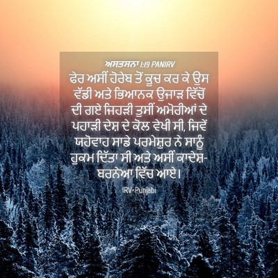 Picture 04 - ਅਸਤਸਨਾ 1:19 PANIRV - ਫੇਰ ਅਸੀਂ ਹੋਰੇਬ ਤੋਂ - Bible Verse Picture