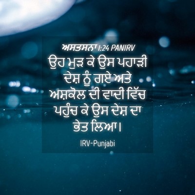 Picture 04 - ਅਸਤਸਨਾ 1:24 PANIRV - ਉਹ ਮੁੜ ਕੇ ਉਸ ਪਹਾੜੀ - Bible Verse Picture
