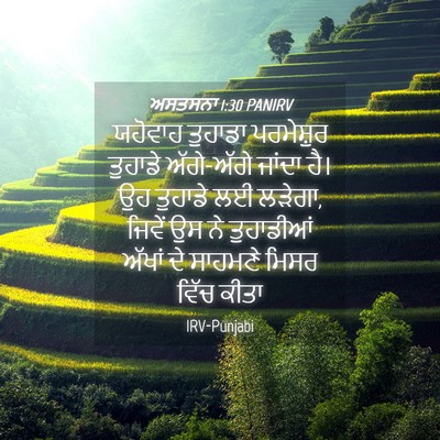 Picture 04 - ਅਸਤਸਨਾ 1:30 PANIRV - ਯਹੋਵਾਹ ਤੁਹਾਡਾ - Bible Verse Picture