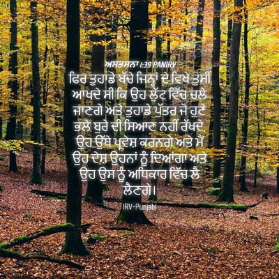 Picture 04 - ਅਸਤਸਨਾ 1:39 PANIRV - ਫਿਰ ਤੁਹਾਡੇ ਬੱਚੇ - Bible Verse Picture
