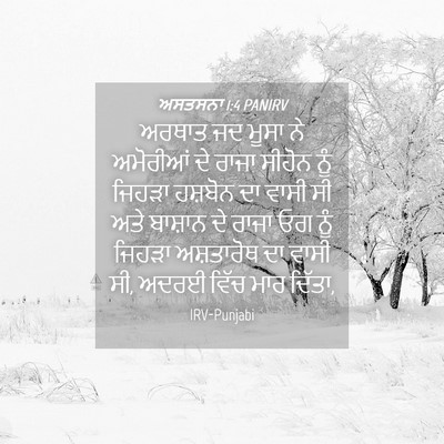 Picture 04 - ਅਸਤਸਨਾ 1:4 PANIRV - ਅਰਥਾਤ ਜਦ ਮੂਸਾ ਨੇ - Bible Verse Picture