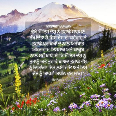Picture 04 - ਅਸਤਸਨਾ 1:8 PANIRV - ਵੇਖੋ, ਮੈਂ ਇਸ ਦੇਸ਼ - Bible Verse Picture