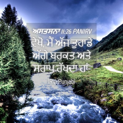 Picture 04 - ਅਸਤਸਨਾ 11:26 PANIRV - ਵੇਖੋ, ਮੈਂ ਅੱਜ - Bible Verse Picture