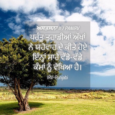 Picture 04 - ਅਸਤਸਨਾ 11:7 PANIRV - ਪਰੰਤੂ ਤੁਹਾਡੀਆਂ - Bible Verse Picture