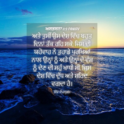 Picture 04 - ਅਸਤਸਨਾ 11:9 PANIRV - ਅਤੇ ਤੁਸੀਂ ਉਸ ਦੇਸ਼ - Bible Verse Picture