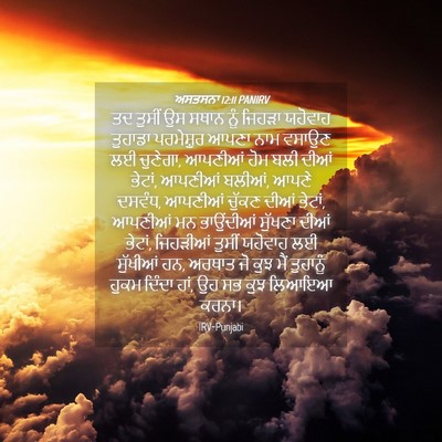 Picture 04 - ਅਸਤਸਨਾ 12:11 PANIRV - ਤਦ ਤੁਸੀਂ ਉਸ ਸਥਾਨ - Bible Verse Picture