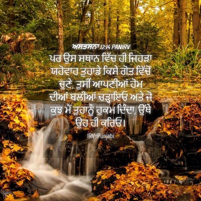 Picture 04 - ਅਸਤਸਨਾ 12:14 PANIRV - ਪਰ ਉਸ ਸਥਾਨ ਵਿੱਚ ਹੀ - Bible Verse Picture