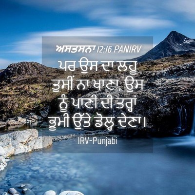 Picture 04 - ਅਸਤਸਨਾ 12:16 PANIRV - ਪਰ ਉਸ ਦਾ ਲਹੂ ਤੁਸੀਂ - Bible Verse Picture
