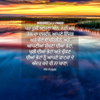 Picture 04 - ਅਸਤਸਨਾ 12:17 PANIRV - ਪਰ ਤੁਸੀਂ ਆਪਣਾ ਅੰਨ, - Bible Verse Picture