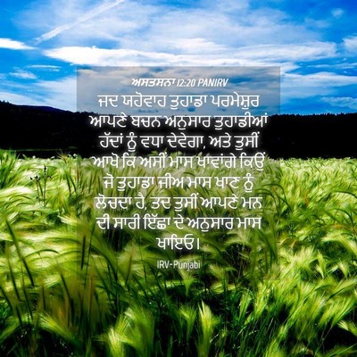 Picture 04 - ਅਸਤਸਨਾ 12:20 PANIRV - ਜਦ ਯਹੋਵਾਹ ਤੁਹਾਡਾ - Bible Verse Picture