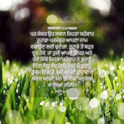 Picture 04 - ਅਸਤਸਨਾ 12:21 PANIRV - ਪਰ ਜੇਕਰ ਉਹ ਸਥਾਨ - Bible Verse Picture