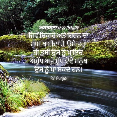 Picture 04 - ਅਸਤਸਨਾ 12:22 PANIRV - ਜਿਵੇਂ ਚਿਕਾਰੇ ਅਤੇ - Bible Verse Picture