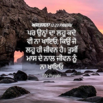 Picture 04 - ਅਸਤਸਨਾ 12:23 PANIRV - ਪਰ ਉਨ੍ਹਾਂ ਦਾ ਲਹੂ - Bible Verse Picture