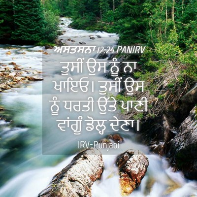 Picture 04 - ਅਸਤਸਨਾ 12:24 PANIRV - ਤੁਸੀਂ ਉਸ ਨੂੰ ਨਾ - Bible Verse Picture