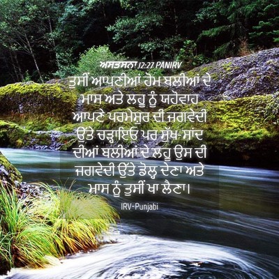 Picture 04 - ਅਸਤਸਨਾ 12:27 PANIRV - ਤੁਸੀਂ ਆਪਣੀਆਂ ਹੋਮ - Bible Verse Picture