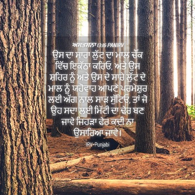Picture 04 - ਅਸਤਸਨਾ 13:16 PANIRV - ਉਸ ਦਾ ਸਾਰਾ ਲੁੱਟ ਦਾ - Bible Verse Picture
