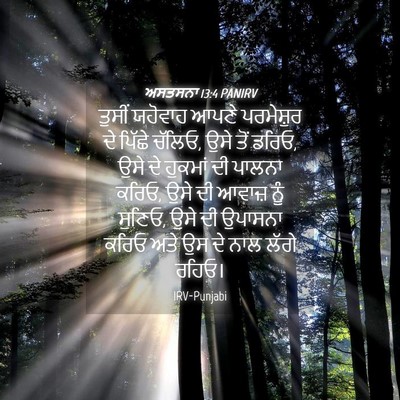 Picture 04 - ਅਸਤਸਨਾ 13:4 PANIRV - ਤੁਸੀਂ ਯਹੋਵਾਹ ਆਪਣੇ - Bible Verse Picture