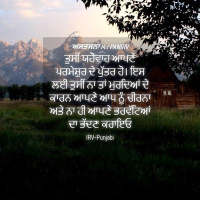 Picture 04 - ਅਸਤਸਨਾ 14:1 PANIRV - ਤੁਸੀਂ ਯਹੋਵਾਹ ਆਪਣੇ - Bible Verse Picture