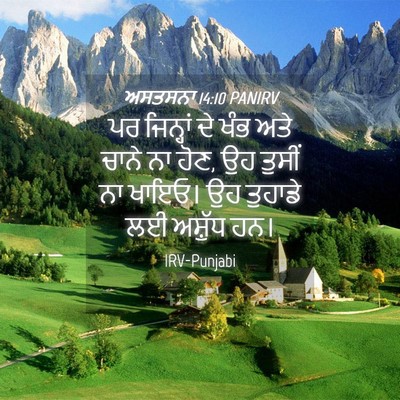 Picture 04 - ਅਸਤਸਨਾ 14:10 PANIRV - ਪਰ ਜਿਨ੍ਹਾਂ ਦੇ ਖੰਭ - Bible Verse Picture