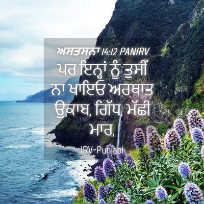 Picture 04 - ਅਸਤਸਨਾ 14:12 PANIRV - ਪਰ ਇਨ੍ਹਾਂ ਨੂੰ - Bible Verse Picture
