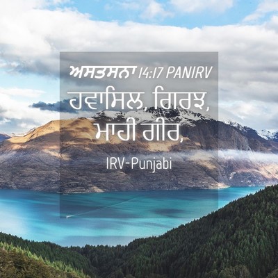 Picture 04 - ਅਸਤਸਨਾ 14:17 PANIRV - ਹਵਾਸਿਲ, ਗਿਰਝ, ਮਾਹੀ - Bible Verse Picture