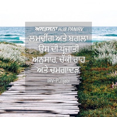 Picture 04 - ਅਸਤਸਨਾ 14:18 PANIRV - ਲਮਢੀਂਗ ਅਤੇ ਬਗਲਾ ਉਸ - Bible Verse Picture