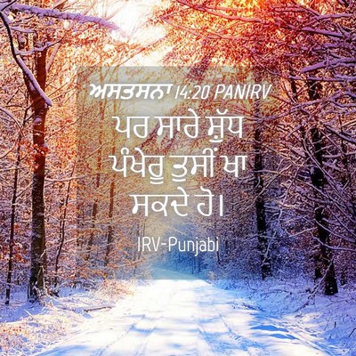 Picture 04 - ਅਸਤਸਨਾ 14:20 PANIRV - ਪਰ ਸਾਰੇ ਸ਼ੁੱਧ - Bible Verse Picture