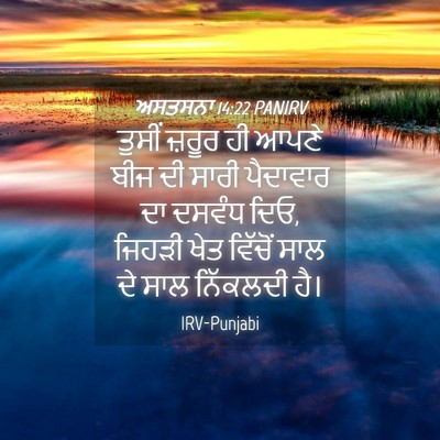 Picture 04 - ਅਸਤਸਨਾ 14:22 PANIRV - ਤੁਸੀਂ ਜ਼ਰੂਰ ਹੀ - Bible Verse Picture