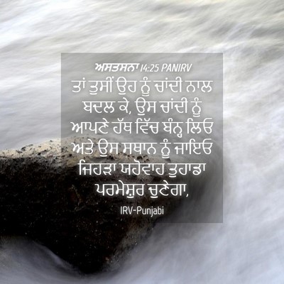 Picture 04 - ਅਸਤਸਨਾ 14:25 PANIRV - ਤਾਂ ਤੁਸੀਂ ਉਹ ਨੂੰ - Bible Verse Picture