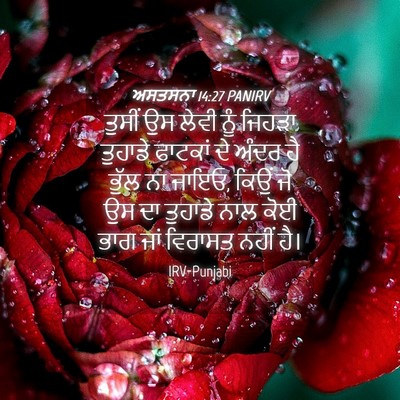 Picture 04 - ਅਸਤਸਨਾ 14:27 PANIRV - ਤੁਸੀਂ ਉਸ ਲੇਵੀ ਨੂੰ - Bible Verse Picture