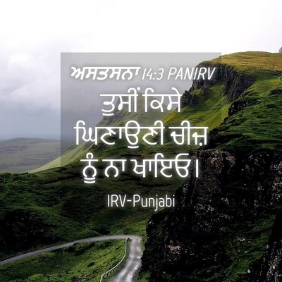 Picture 04 - ਅਸਤਸਨਾ 14:3 PANIRV - ਤੁਸੀਂ ਕਿਸੇ - Bible Verse Picture