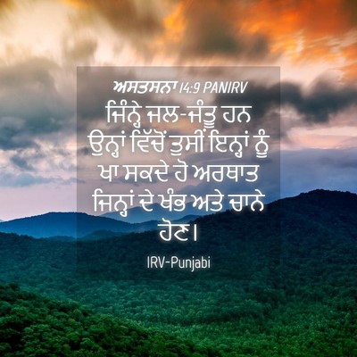 Picture 04 - ਅਸਤਸਨਾ 14:9 PANIRV - ਜਿੰਨ੍ਹੇ ਜਲ-ਜੰਤੂ ਹਨ - Bible Verse Picture