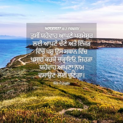 Picture 04 - ਅਸਤਸਨਾ 16:2 PANIRV - ਤੁਸੀਂ ਯਹੋਵਾਹ ਆਪਣੇ - Bible Verse Picture