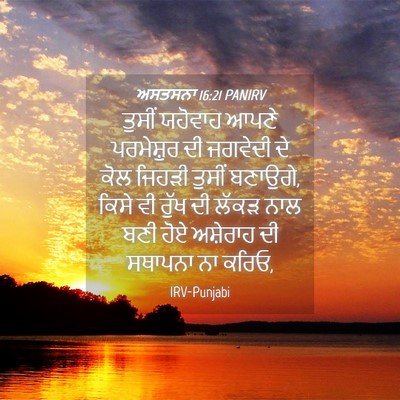 Picture 04 - ਅਸਤਸਨਾ 16:21 PANIRV - ਤੁਸੀਂ ਯਹੋਵਾਹ ਆਪਣੇ - Bible Verse Picture