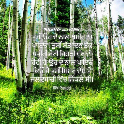 Picture 04 - ਅਸਤਸਨਾ 16:3 PANIRV - ਤੁਸੀਂ ਉਹ ਦੇ ਨਾਲ - Bible Verse Picture