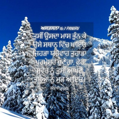 Picture 04 - ਅਸਤਸਨਾ 16:7 PANIRV - ਤੁਸੀਂ ਉਸਦਾ ਮਾਸ - Bible Verse Picture
