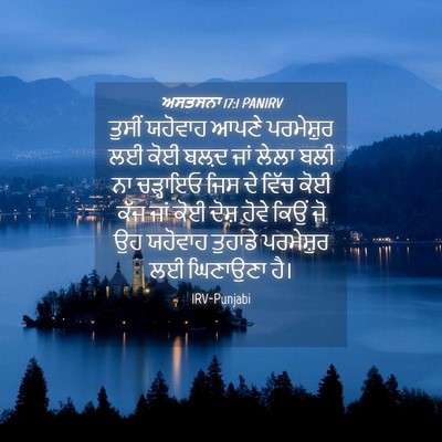 Picture 04 - ਅਸਤਸਨਾ 17:1 PANIRV - ਤੁਸੀਂ ਯਹੋਵਾਹ ਆਪਣੇ - Bible Verse Picture